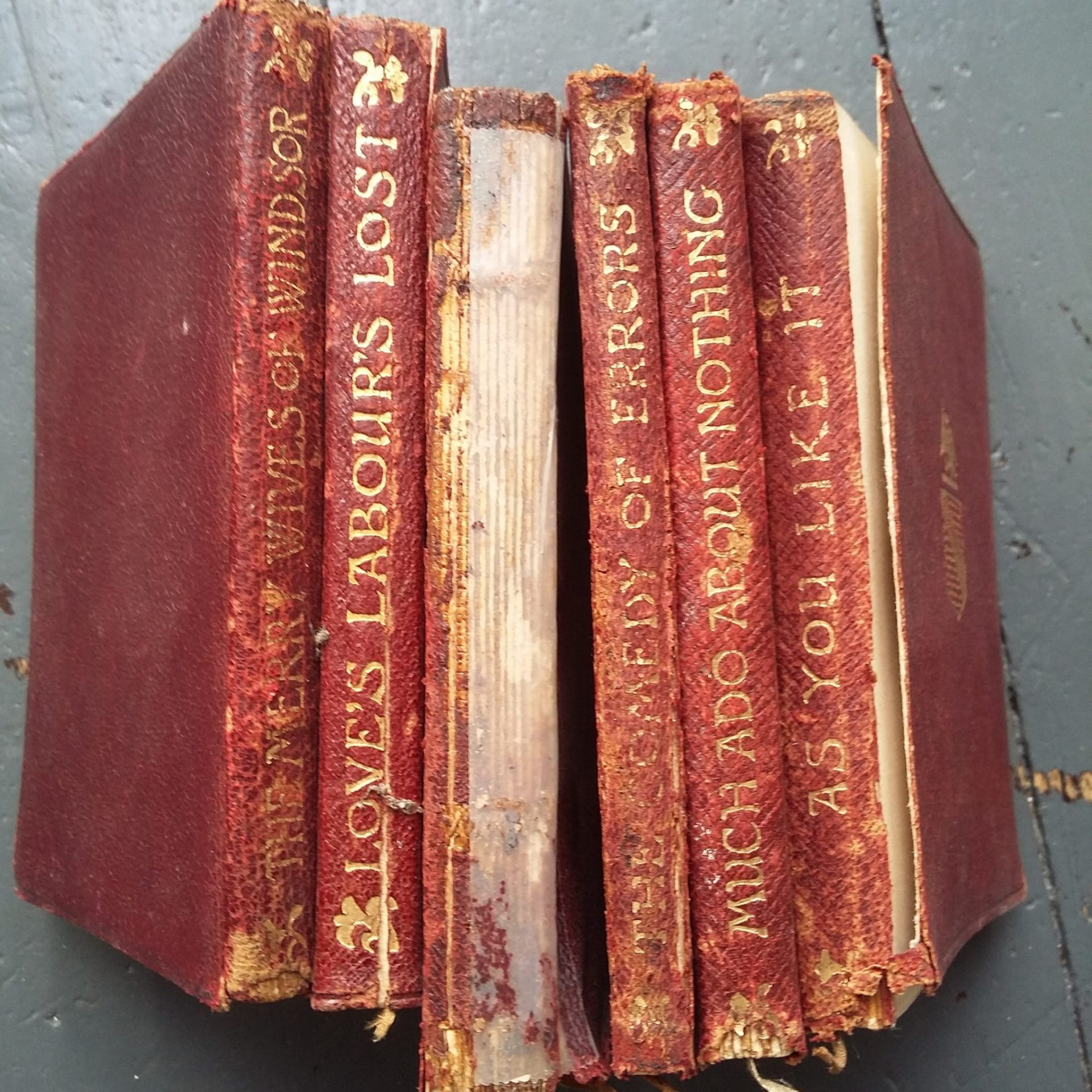 Basic Book Storage and Repair – Paper and Cloth bindings Put away the sellotape and find out how to stabilise, store, and/or repair your most loved books