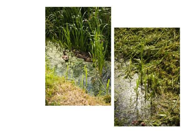 'Right here, right now. It's historical, big, huge and beautiful' Ed Clews 22 - 28th April 2024 - Image 6