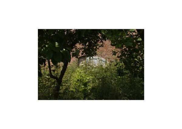 'Right here, right now. It's historical, big, huge and beautiful' Ed Clews 22 - 28th April 2024 - Image 2