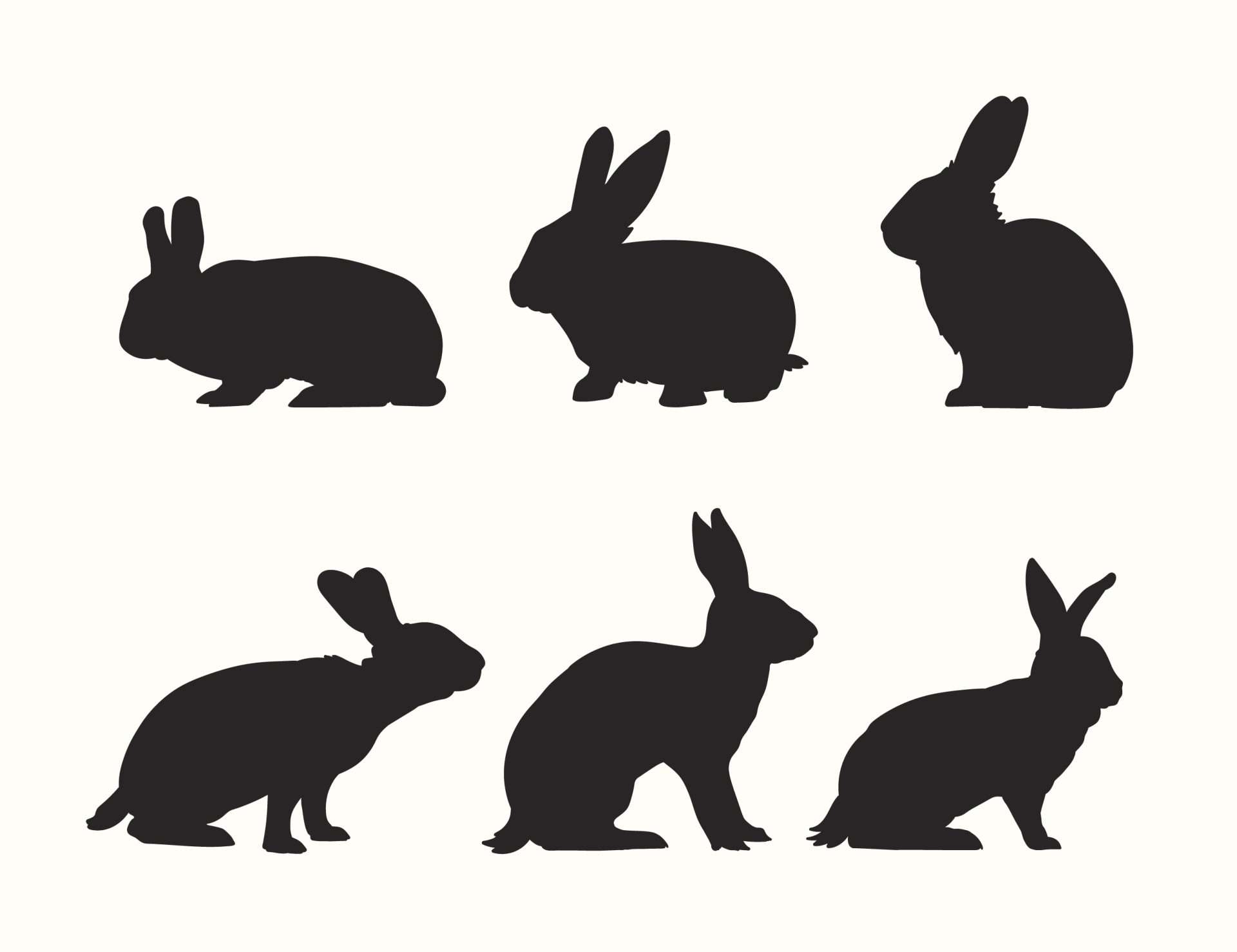 Make A Rabbit